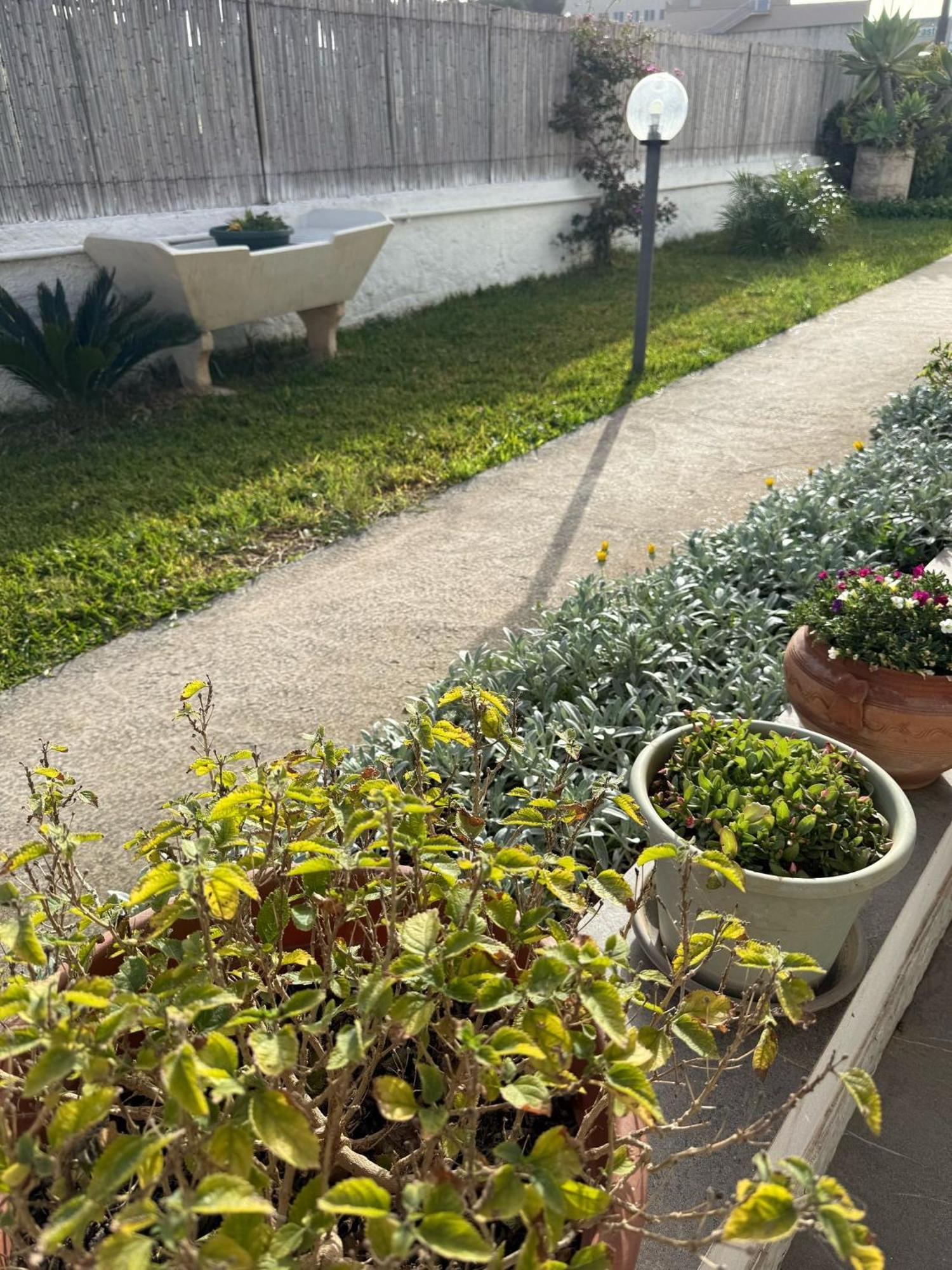 A Casa Di Coso B&B Marsala Exterior photo
